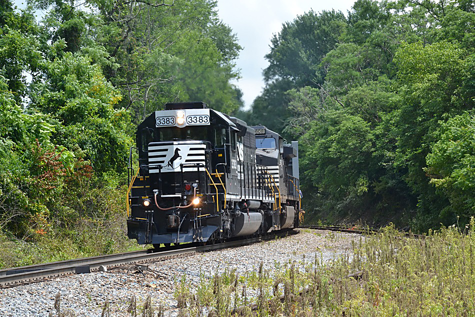 NS SD40-2 #3383 leads train 981 westbound at Linden, Virginia