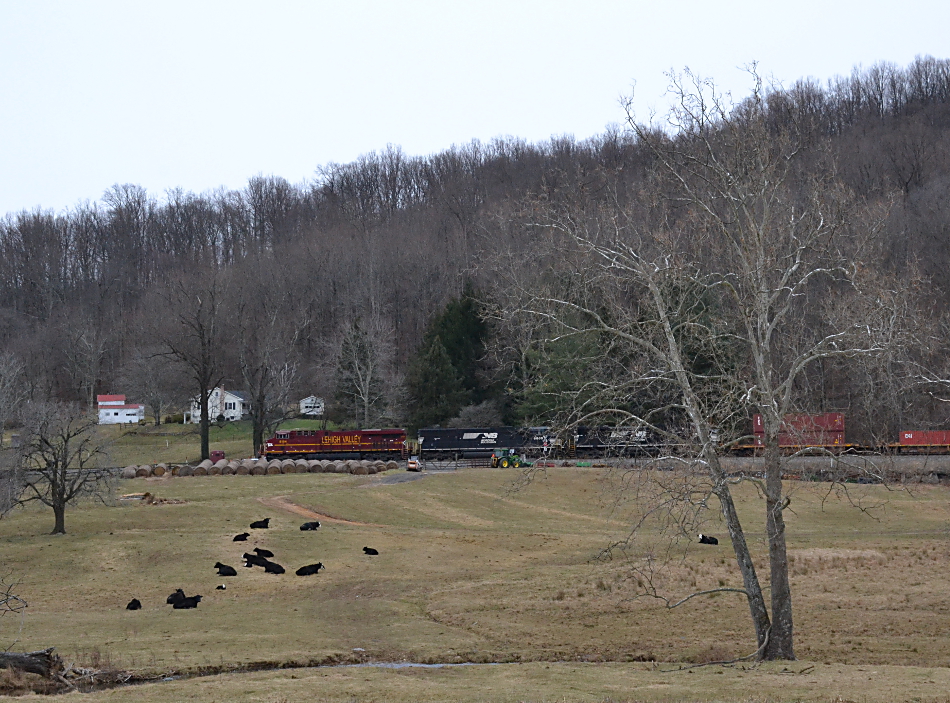 NS #8104 (Lehigh Valley Heritage Unit) leads NS train 228 east past Linden, Virginia on 1/5/2016