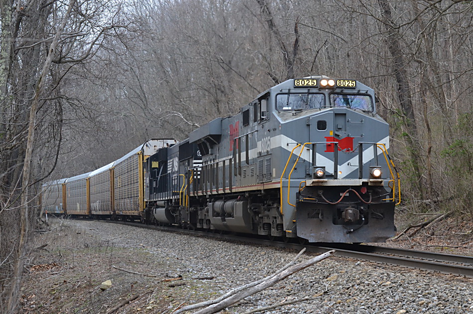 NS train 290 climbs Linden Hill on the B-line in Virginia led by ES44AC #8025 on 3/26/2017.