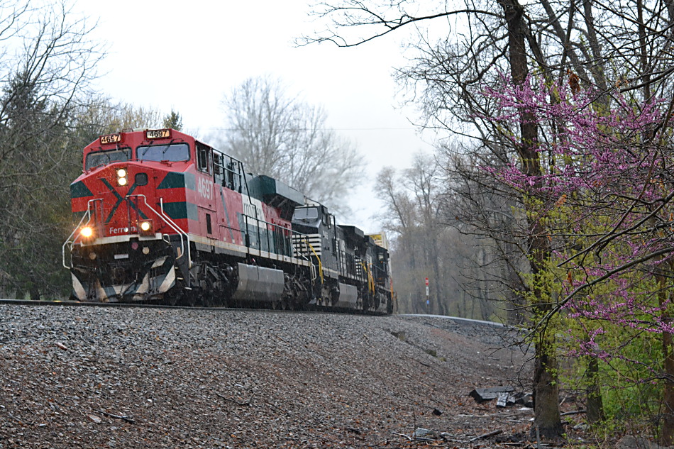 Ferromex ES44AC #4697 leads NS train 203 east through Linden, VA on 4/24/2018.