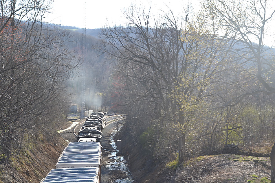 Over the hill at last...  NS 12R with a hammerhead leading the way west at Linden, VA on 4/3/2019.