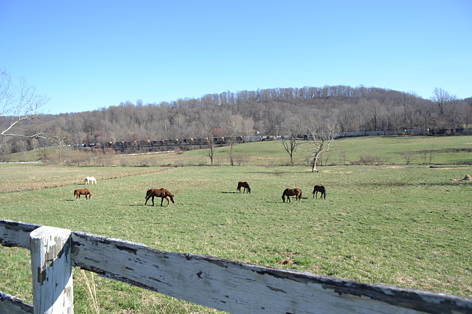 A peaceful scene earlier at Belle Meade... so long as you're not waiting to get across one of the crossings blocked by a stalled NS 12R on 4/3/2019.