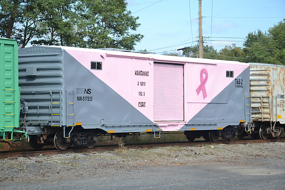 Specially painted for Breast Cancer Awareness, this Norfolk Southern Maintenance of Way car sat on the west leg of the Front Royal, VA wye on 10/5/2019.