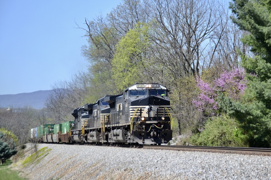 A Norfolk Southern train passes a redbud tree with mountains in the background.