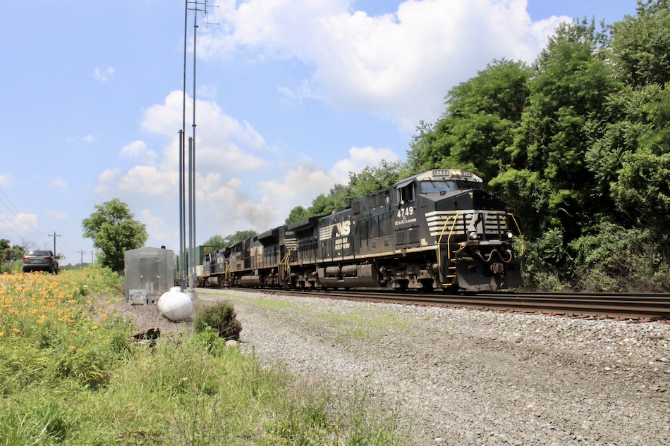 A Norfolk Southern intermodal train passes by orange daylilies in Virginia.