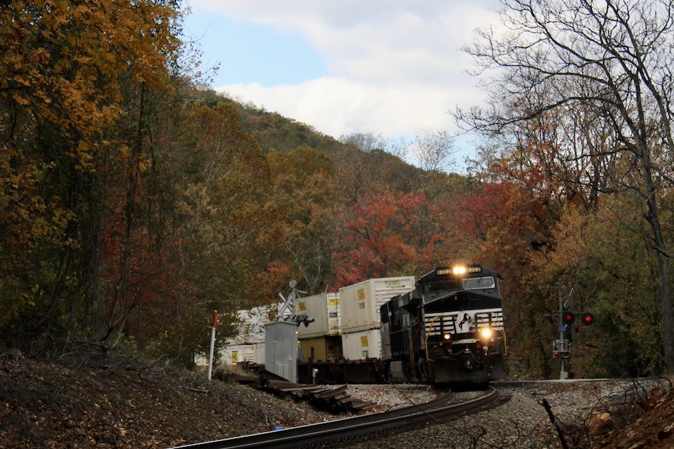 A Norfolk Southern intermodal train passes through scenic fall colors.